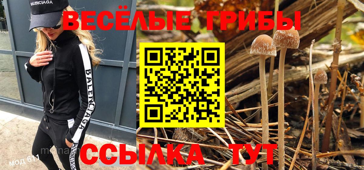 Галлюциногенные грибы MAGIC MUSHROOMS Мурино