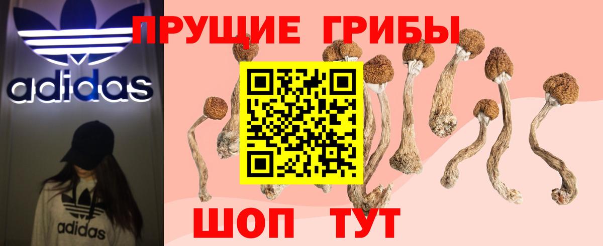 Мурино  Псилоцибиновые грибы MAGIC MUSHROOMS  Вход с VPN 