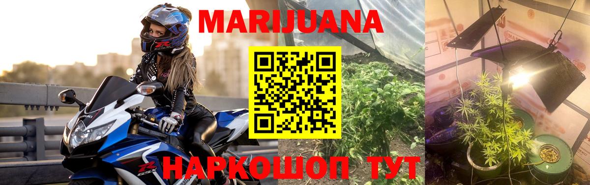 Мурино  Шишки марихуана конопля  Вход с VPN  Бошки марихуана Bruce Banner  Бошки марихуана Amnesia  Марихуана Ganja 